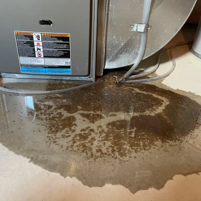 Appliance Leak Cleanup in Hutchinson, MN